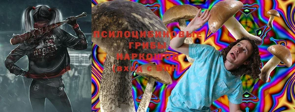 дмт Алексеевка