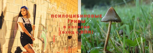 a pvp Алексин