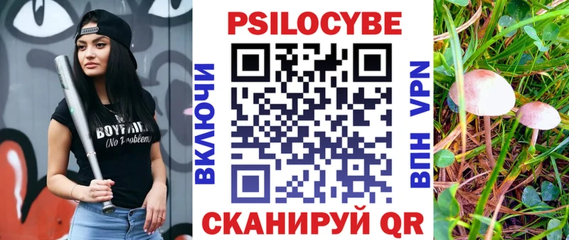 гидра маркетплейс Черкесск Псилоцибиновые грибы прущие грибы